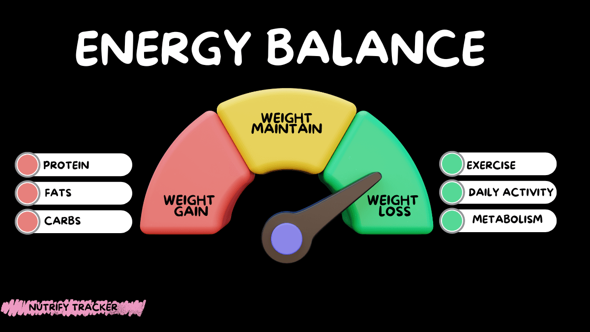 Calorie Deficit Illustration